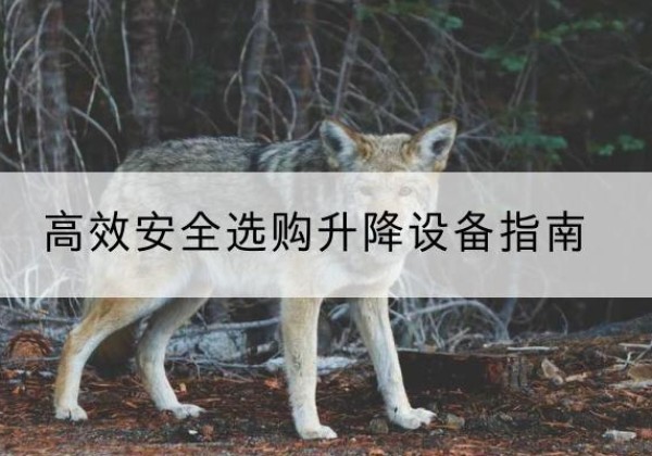 大同升降货梯厂家推荐-*安全选购升降设备指南